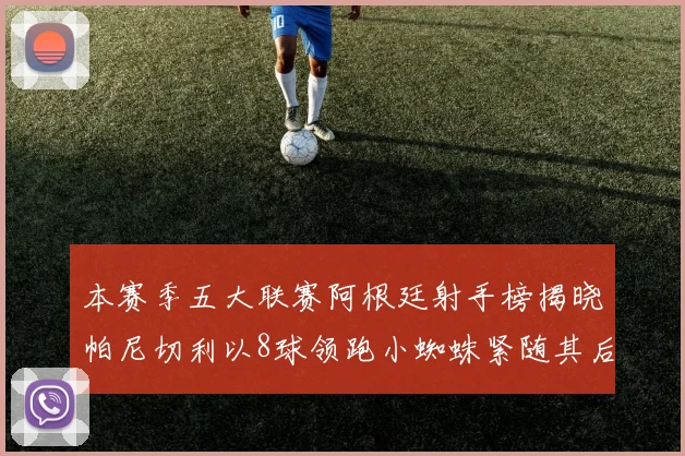 本赛季五大联赛阿根廷射手榜揭晓帕尼切利以8球领跑小蜘蛛紧随其后