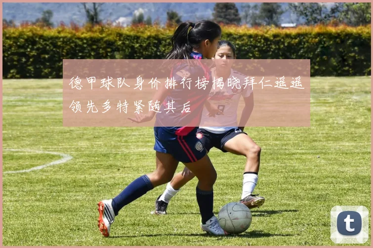德甲球队身价排行榜揭晓拜仁遥遥领先多特紧随其后