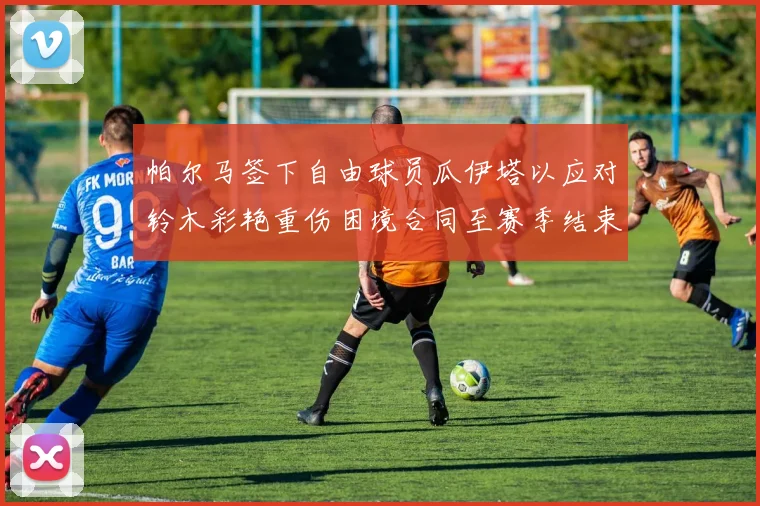 帕尔马签下自由球员瓜伊塔以应对铃木彩艳重伤困境合同至赛季结束